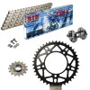 Sprockets & Chain Kit DID 520ZVM-X Ultralight Silver APRILIA RSV 1000 R Conversion 520 04-09 Free Riveter