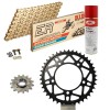 Sprockets & Chain Kit DID 520ERV3 MotoGP Gold APRILIA RSV 1000 R Conversion 520 04-09 