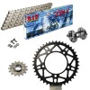 KIT CATENA CORONA PIGNONE DID 520ZVMX Ultraleggero Super Rinforzato GRIGIO APRILIA RSV4 1000 RF Conversione 520 15-20 REMAC