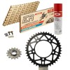 KIT DE TRANSMISION DID 520ERV3 ORO BMW S 1000 RR Conversion 520 09-11 