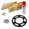 KIT CATENA CORONA PIGNONE DID 520ERVT ORO GAS GAS SM 515 13