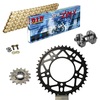 Sprockets & Chain Kit DID 520ZVM-X Ultralight Gold APRILIA Tuono 1000 R Racing Conversion 520 04-09 Free Riveter