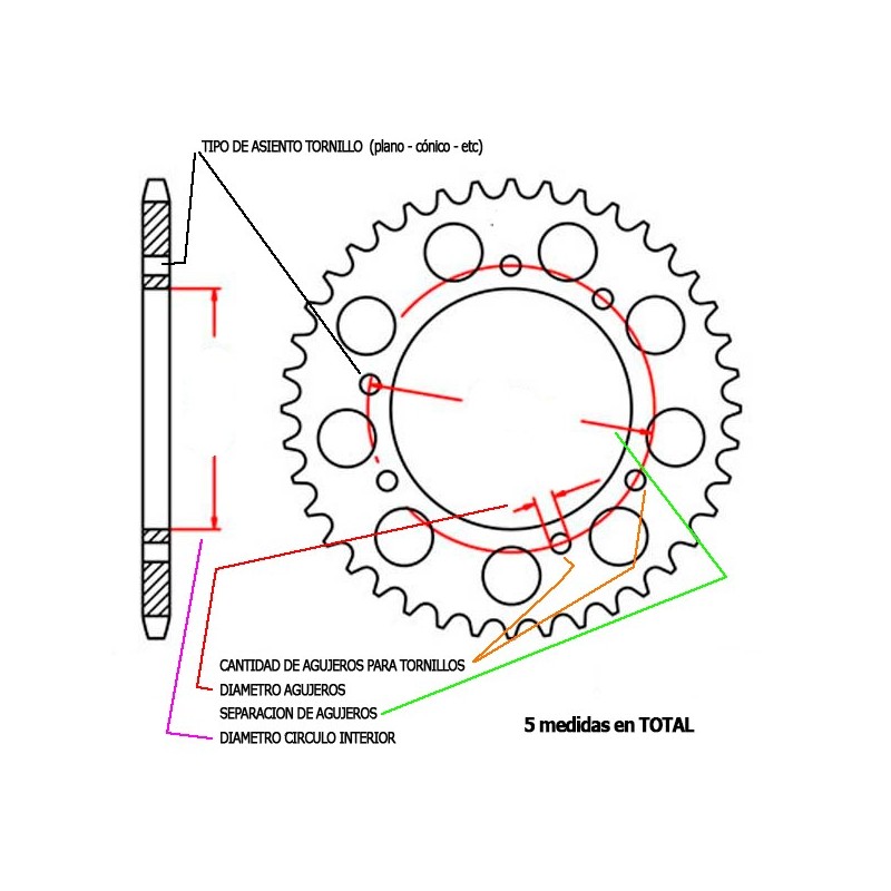 REAR SPROCKET 428 AFAM