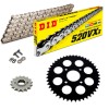 KIT CATENA CORONA PIGNONE DID 520VX3 ARGENTO KTM Duke 125 11-13 