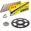 KIT CATENA CORONA PIGNONE DID 520VX3 ARGENTO KTM Duke 125 14-23 